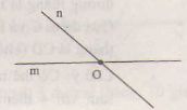 Đường thẳng đi qua hai điểm - Hình học 6 - Toán lớp 6-4