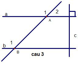 Đề kiểm tra 1 tiết chương 1 Hình học 7 THCS Chu Văn An-2