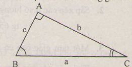 Một số hệ thức về cạnh và góc trong tam giác vuông-1